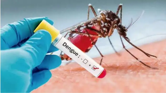 Epidemia de dengue sin precedentes: más de un millón de casos se han registrado en brasil