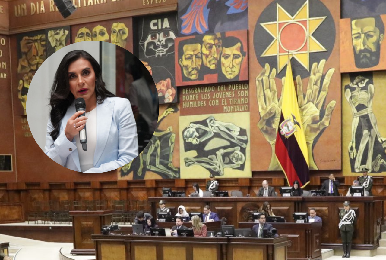 Desde la Asamblea se gestiona para que la sucesión a la Presidencia sea para Verónica Abad