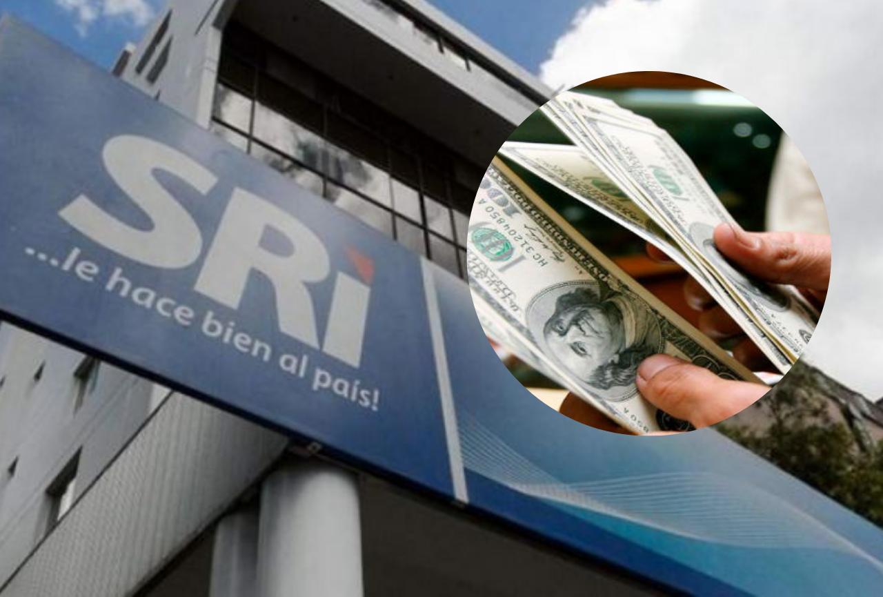 Recaudación tributaria del SRI tuvo un crecimiento de 5,6% en 5 meses, en comparación al año 2023