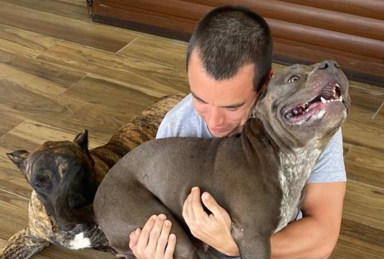 Gobierno de Daniel Noboa elimina el IVA en los alimentos para mascotas desde el 1 de enero