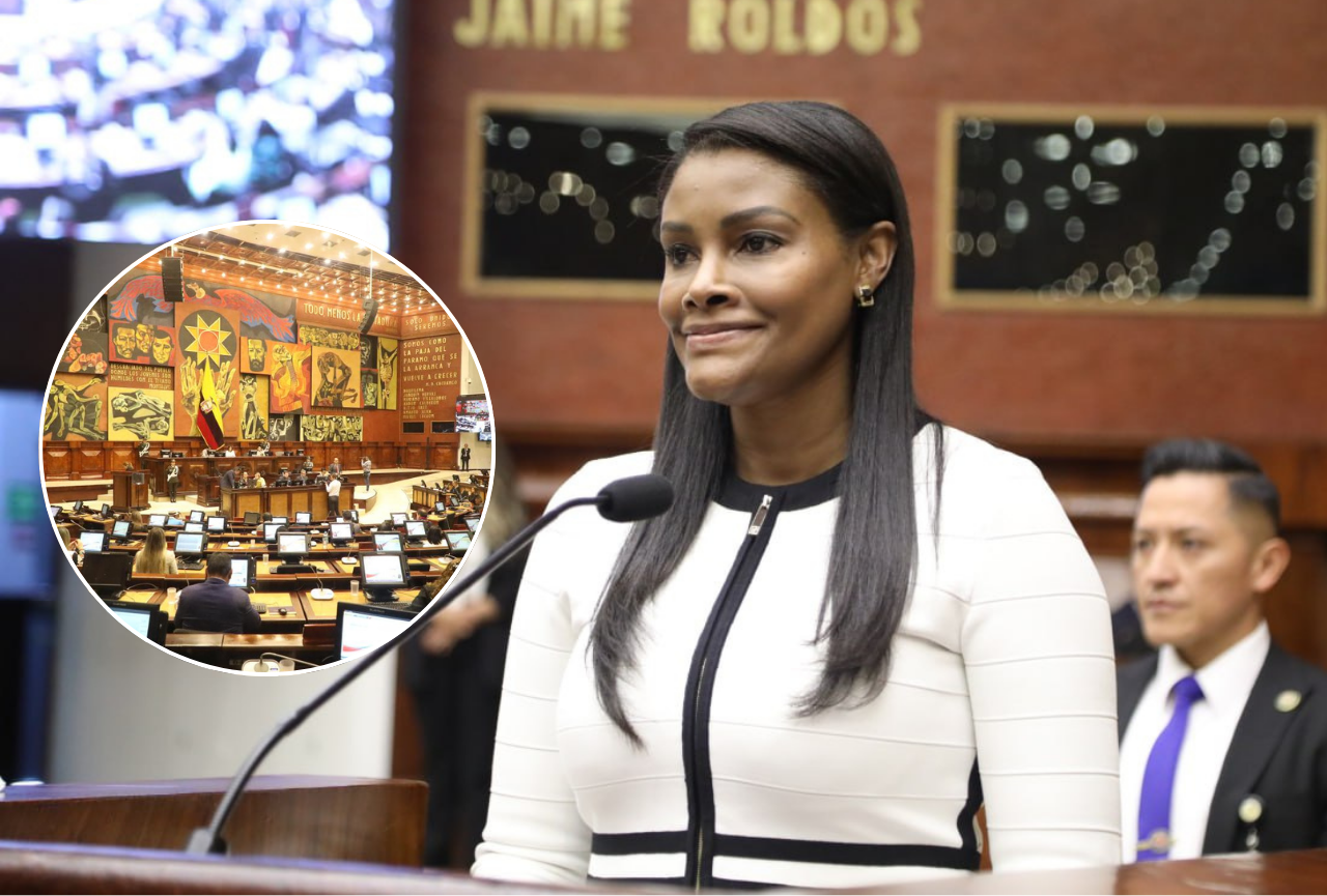 «Hemos puesto sobre la mesa cómo el crimen organizado entró y ha sido permeado a través de la política»: Diana Salazar