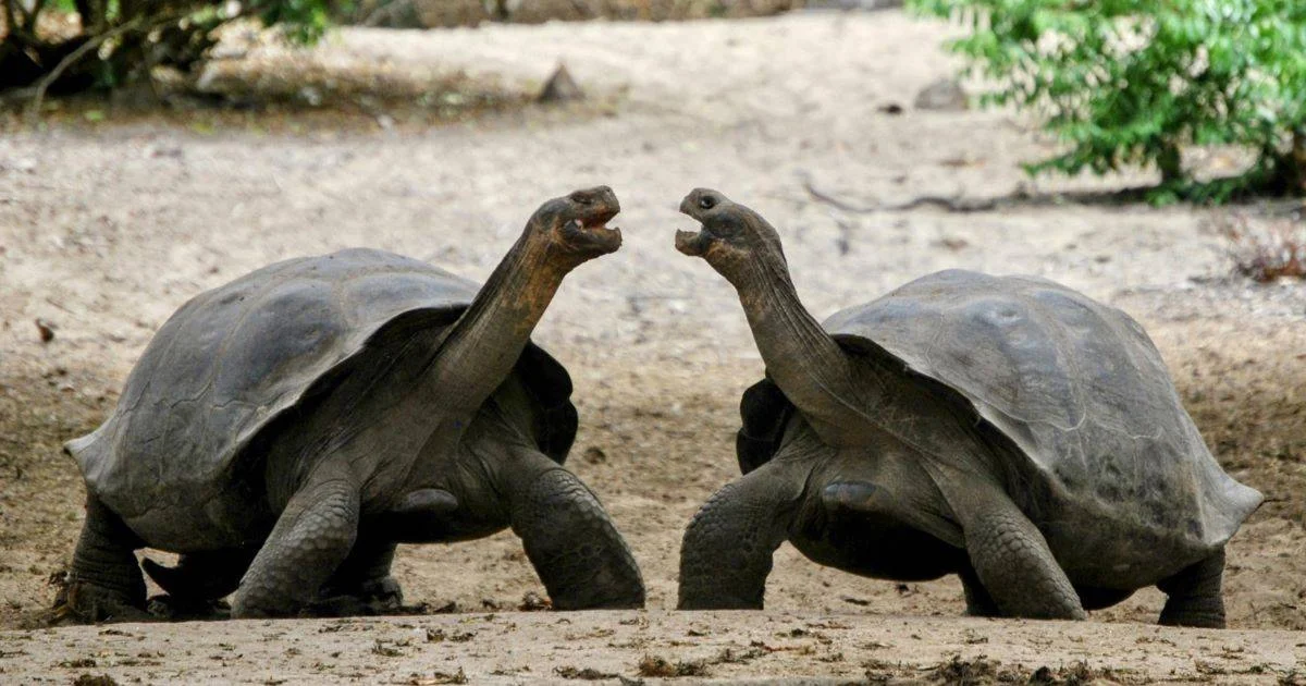 WWF respalda ley de áreas protegidas en Ecuador