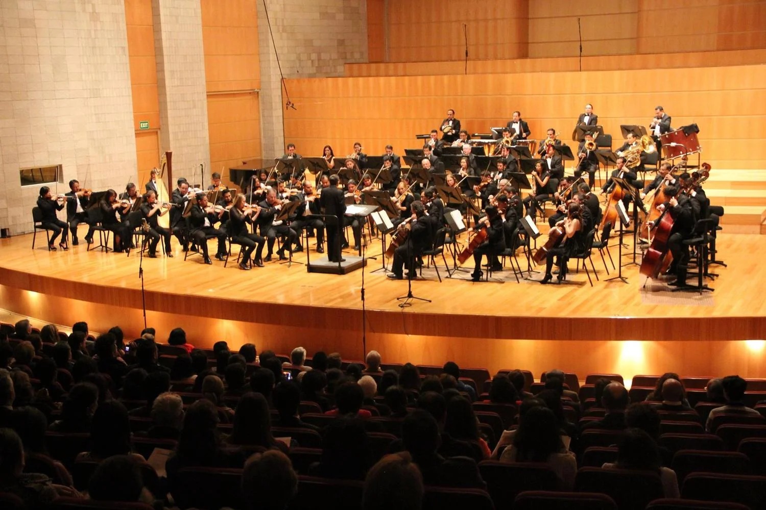 Orquesta Sinfónica Nacional del Ecuador rinde homenaje sinfónico a Studio Ghibli en Quito