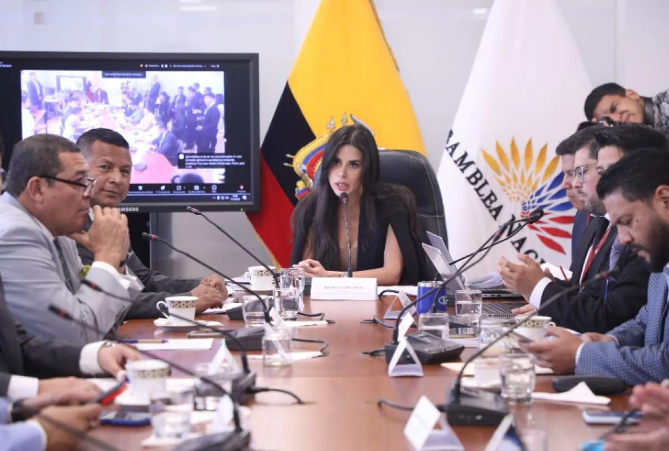 Comisión de Transparencia fiscalizará contrato con Progen por millonarios incumplimientos