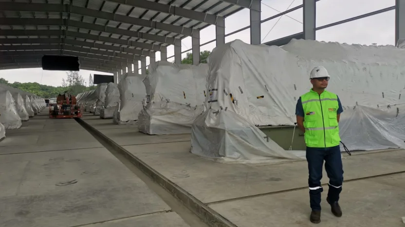 Revés para Progen: Árbitro Rechaza su Pedido de Medidas Cautelares para Central Eléctrica en Quevedo