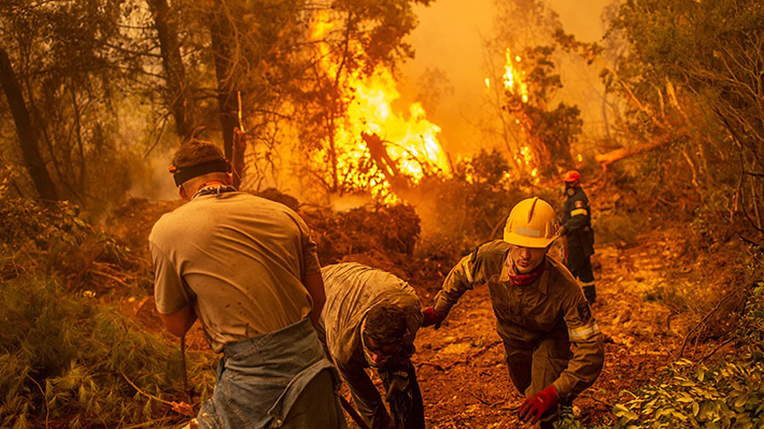 Incendio forestal en Grecia obliga a evacuar a más de 1.200 personas y causa devastación cerca de Atenas
