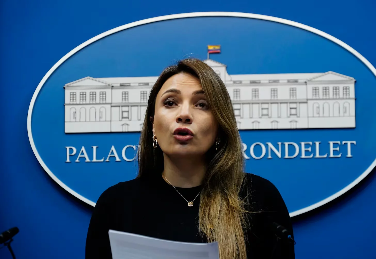 “No existe ninguna razón para que los boletos aéreos suban de precio”, según vocera del Gobierno