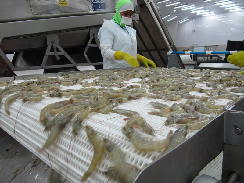 Imagen destacada: Economía ecuatoriana creció 4,8 % en septiembre según nuevo indicador del BCE