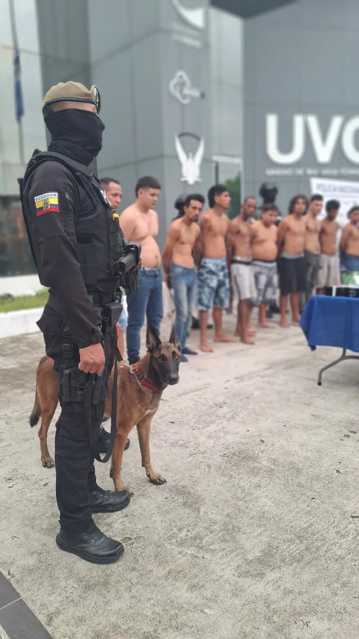 Más de 40 detenidos y decomiso de armas durante el operativo Apolo 8