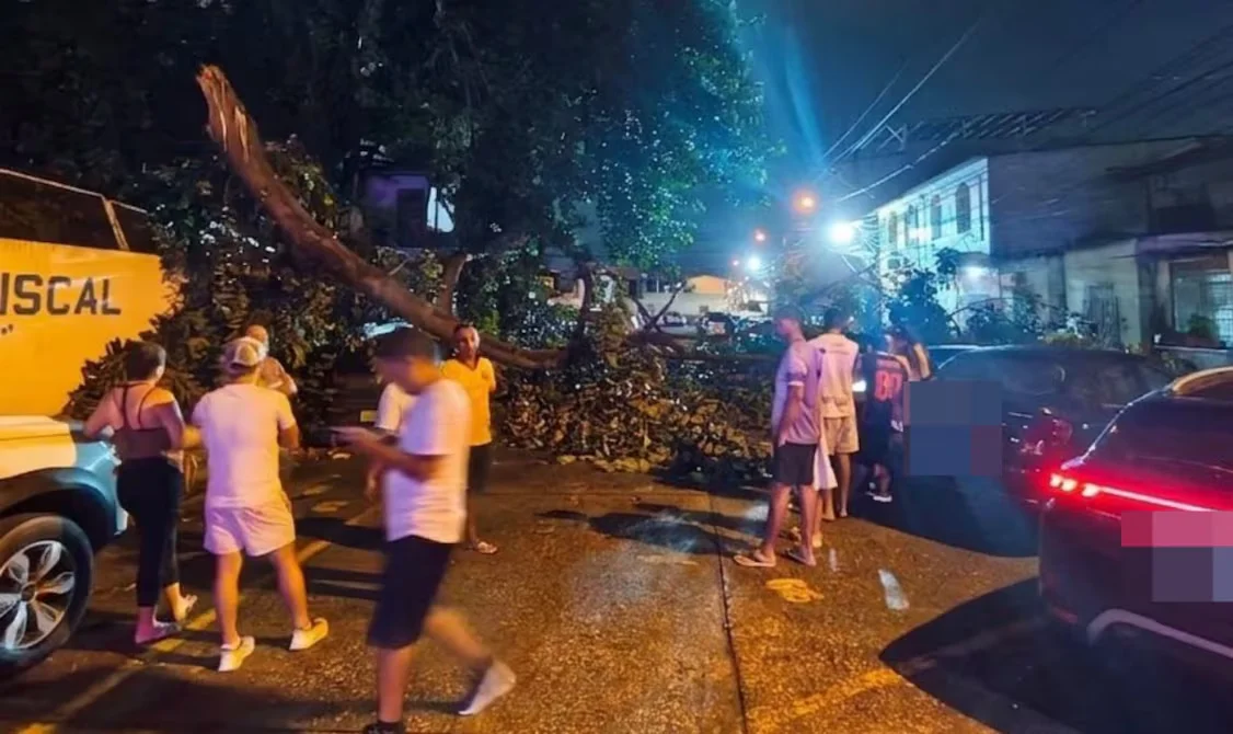 Árbol colapsa y afecta a dos vehículos en Sauces 3, norte de Guayaquil