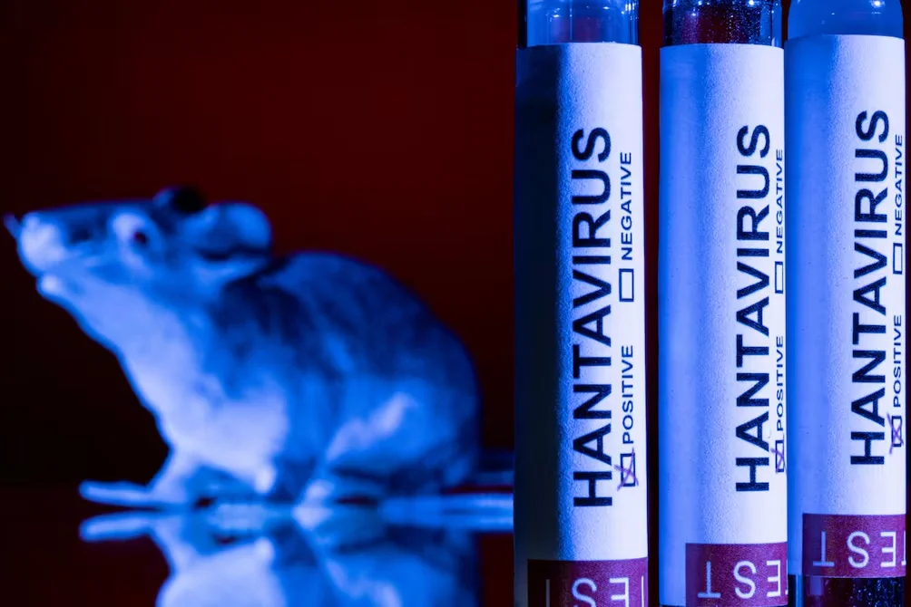 Hantavirus y posible persistencia en el semen: hallazgo científico en Suiza