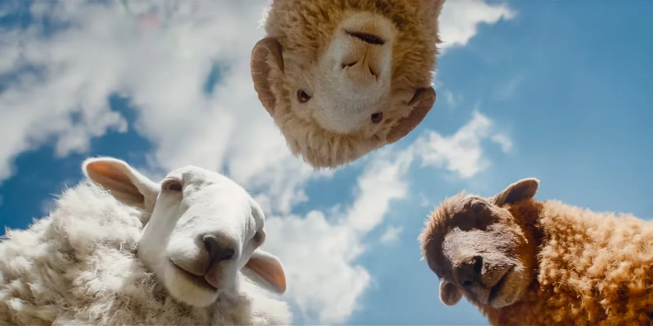 “Las ovejas detectives”: la película con Hugh Jackman que mezcla humor y misterio