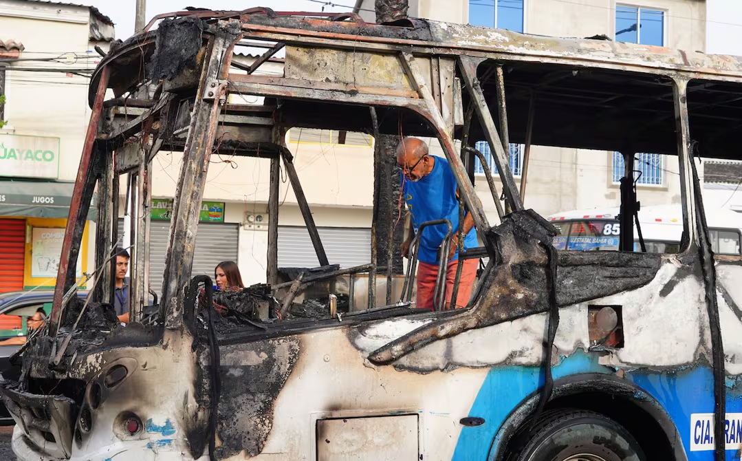 Cuatro palmeras serán retiradas de la av. Orellana tras incendio de bus