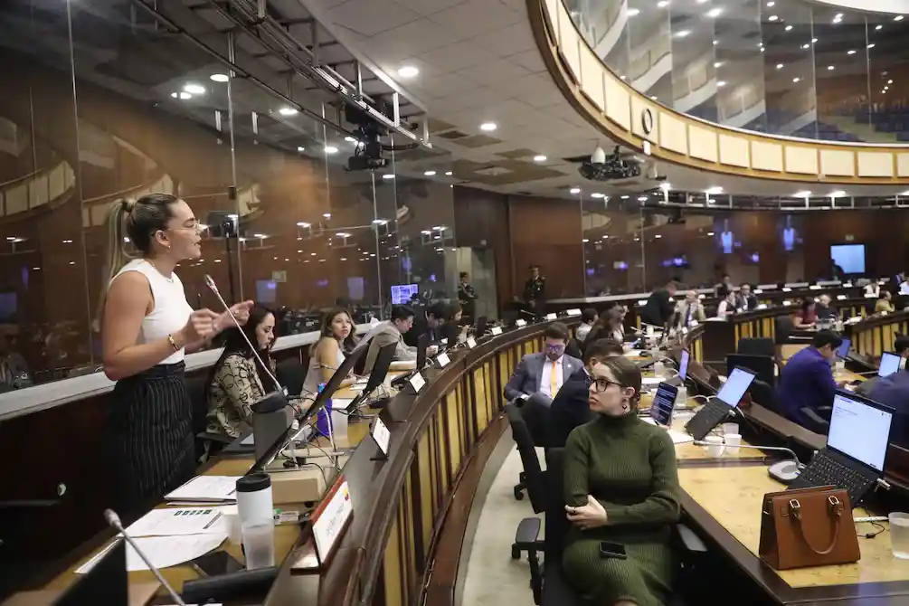 Reformas al COIP avanzan en la Asamblea Nacional y pasan el primer debate